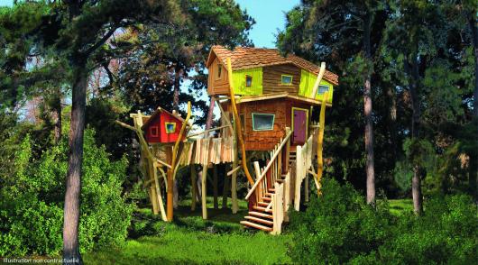 Center Parcs Domaine du Bois aux Daims - Poitou-Charentes - Morton visuel 9/12