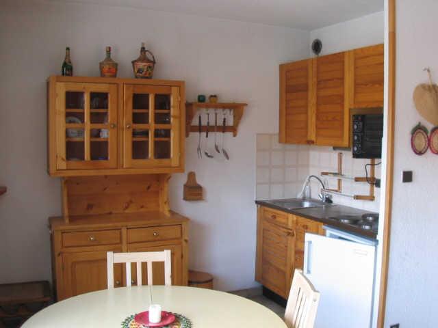 Résidence Central Parc Provence-Alpes-Côte d'Azur - Serre Chevalier 1200 - Briançon visuel 8/12