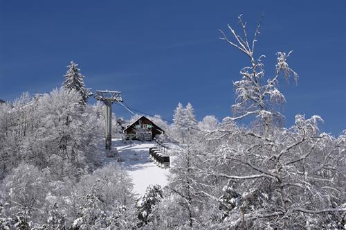 Résidence central Park Labellemontagne Provence-Alpes-Côte d'Azur - Val d'Allos 1500 visuel 25/30
