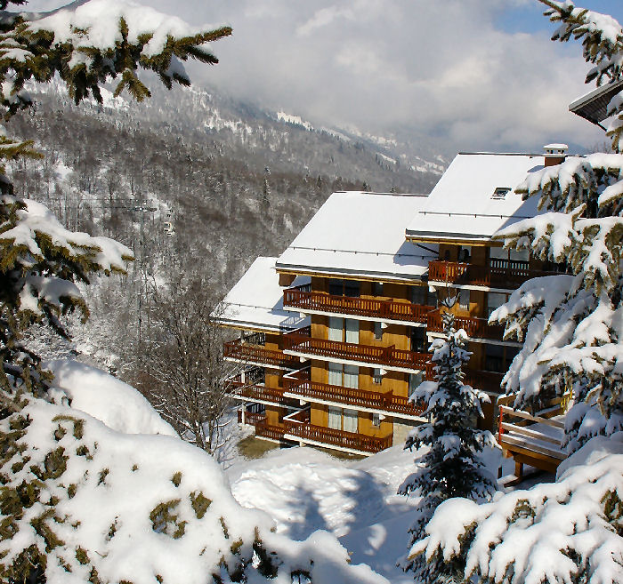 Chalet Le Génépi Rhône-Alpes - Les Ménuires visuel 2/10