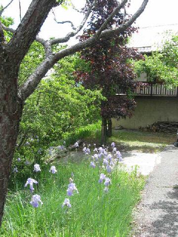 CHALET LE MORGON Provence-Alpes-Côte d'Azur - Embrun visuel 5/10