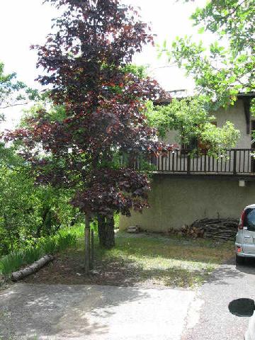 CHALET LE MORGON Provence-Alpes-Côte d'Azur - Embrun visuel 1/10