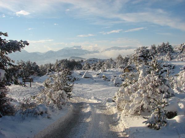 Chalet les 3 Noisettes Provence-Alpes-Côte d'Azur - Ancelle visuel 3/3