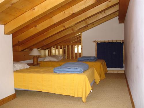 Chalet Les Tines Rhône-Alpes - Chamonix-Mont-Blanc visuel 2/10