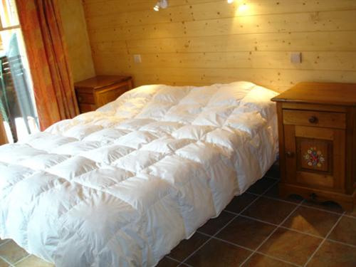 Chalet Perseverance Rhône-Alpes - Chambéry visuel 8/10