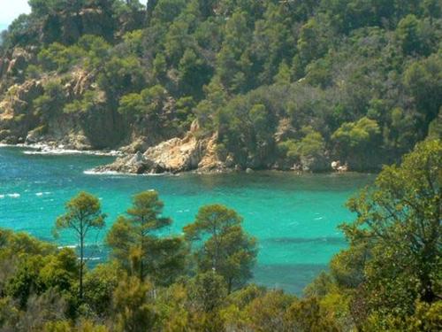 Résidence Chateau Pascalette Figuiers - Provence-Alpes-Côte d'Azur - La Londe-les-Maures visuel 9/10