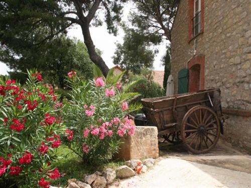 Résidence Chateau Pascalette Figuiers - Provence-Alpes-Côte d'Azur - La Londe-les-Maures visuel 2/10