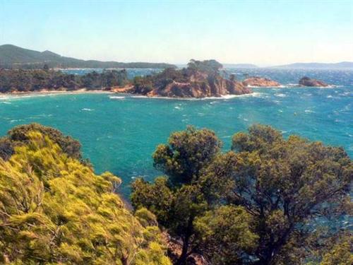 Résidence Chateau Pascalette Figuiers - Provence-Alpes-Côte d'Azur - La Londe-les-Maures visuel 1/10