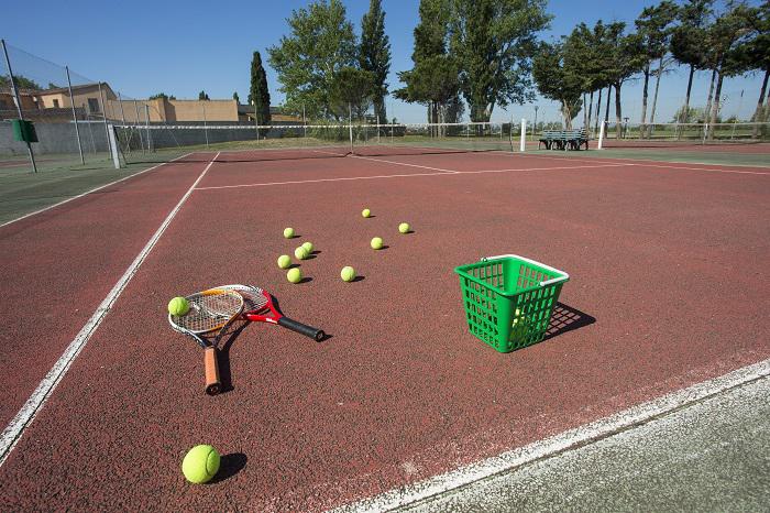 Club Les Amandiers Provence-Alpes-Côte d'Azur - Arles visuel 7/10