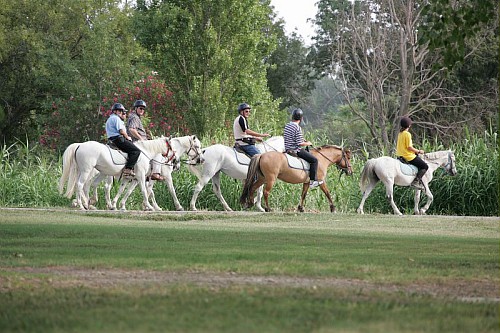 Résidence Club Maeva Camargue L'Estajan Provence-Alpes-Côte d'Azur - Arles visuel 2/10