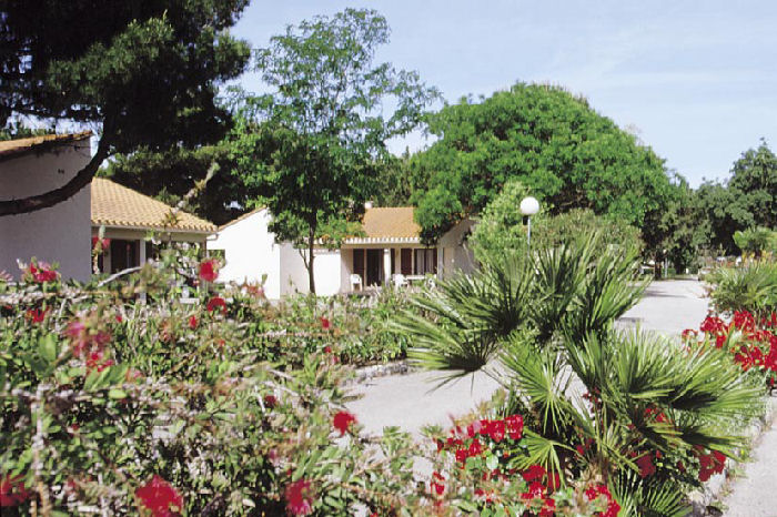 Club Plein Air Vacanciel d'Argelès sur Mer Languedoc-Roussillon - Argelès-sur-Mer visuel 11/12