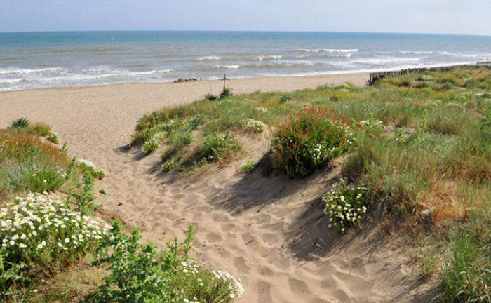 Club Plein Air Vacanciel de Vias Languedoc-Roussillon - Vias visuel 4/10