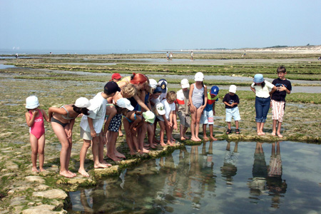 Club Vacances Le Château de Tréambert Pays de Loire - Mesquer visuel 3/9
