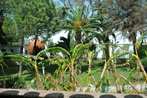 Résidence Cortijo Fontanilla Andalousie - Conil de la Frontera visuel 4/6