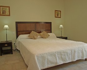 Cypres Provence-Alpes-Côte d'Azur - Saint-Rémy-de-Provence visuel 3/10