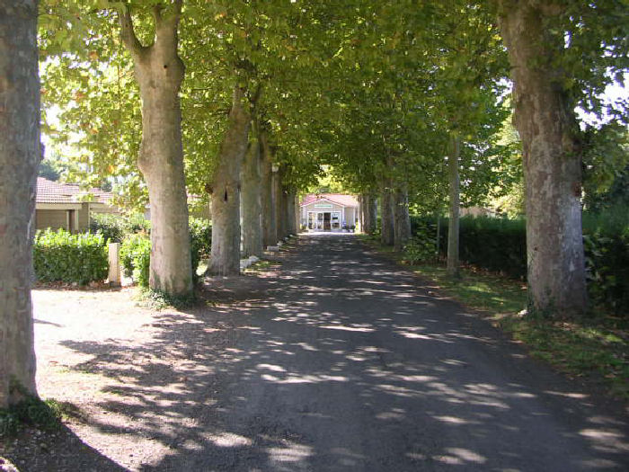Domaine du Cèdre Midi-Pyrénées - Rivière-sur-Tarn visuel 2/3