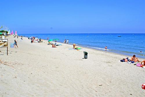 Résidence Fior di Mare Corse - San-Nicolao visuel 2/10