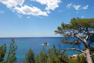 Hôtel Club Vacanciel de Carqueiranne Provence-Alpes-Côte d'Azur - Carqueiranne visuel 7/10