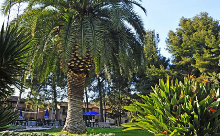 Hôtel Club Vacanciel de Carqueiranne Provence-Alpes-Côte d'Azur - Carqueiranne visuel 6/10