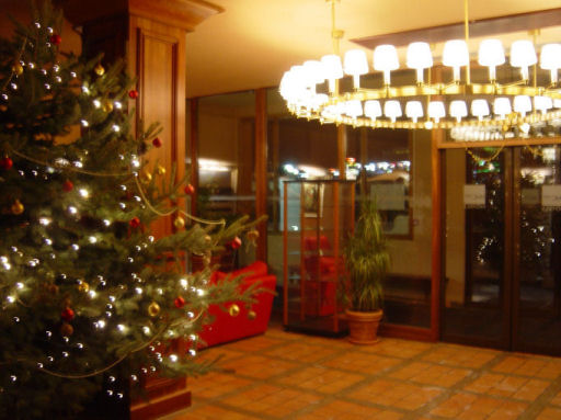 Hôtel Le Pic Blanc Rhône-Alpes - L'Alpe-d'Huez visuel 8/10