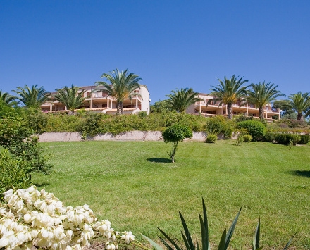 I Cardellini Corse - Solenzara visuel 3/4