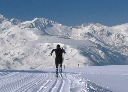 Isatis Midi-Pyrénées - Ignaux visuel 18/40