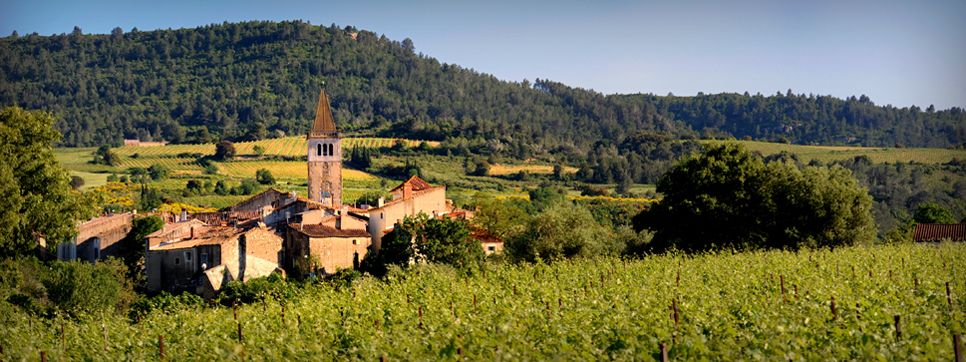 Jardins de Saint Benoît Languedoc-Roussillon - Lézignan-Corbières visuel 9/11