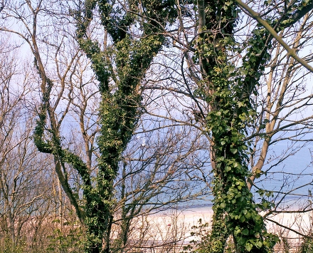 Résidence La Chastellerie Basse-Normandie - Houlgate visuel 8/10