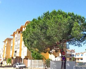 Résidence La Farigoule Languedoc-Roussillon - Gruissan visuel 7/10