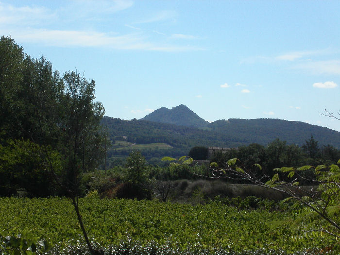La Palissade Provence-Alpes-Côte d'Azur - Vaison-la-Romaine visuel 5/5