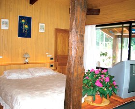 La Pomme de Pin Aquitaine - Mont-de-Marsan visuel 5/7