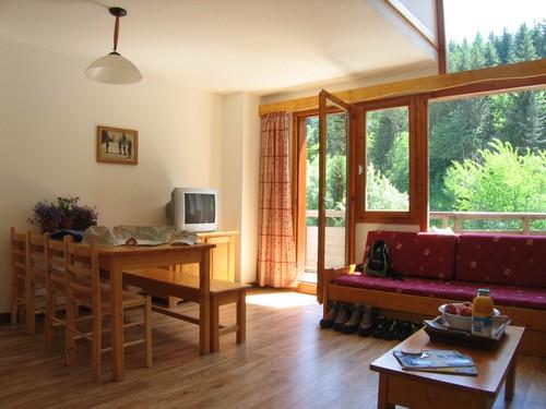 Résidence La Saboïa Rhône-Alpes - La Tania visuel 8/12