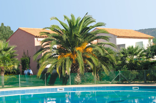 Résidence Lagrange Classic Domaine d'Azur et Tahiti Park Provence-Alpes-Côte d'Azur - Le Lavandou visuel 3/11