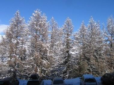 Résidence Le Bilboquet Rhône-Alpes - La Plagne visuel 12/20