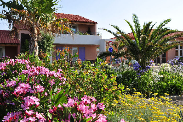 Le Cap Bleu Provence-Alpes-Côte d'Azur - Martigues visuel 17/20