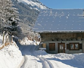 Le Carolien Rhône-Alpes - Abondance visuel 8/10
