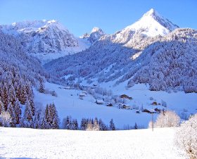 Le Carolien Rhône-Alpes - Abondance visuel 6/10