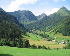 Le Carolien Rhône-Alpes - Abondance visuel 4/10