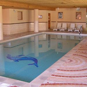 Le Chalet des Neiges Arolles Rhône-Alpes - Arc 2000 visuel 6/10