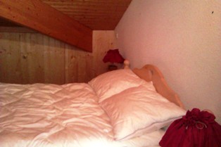 Résidence Le Château Rhône-Alpes - Le Grand-Bornand visuel 2/10