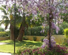Le Clos de St Jean Provence-Alpes-Côte d'Azur - Hyères visuel 8/10