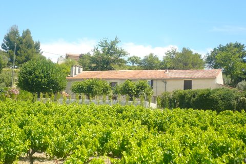 Le Clos du Ventoux Provence-Alpes-Côte d'Azur - Puyméras visuel 2/9