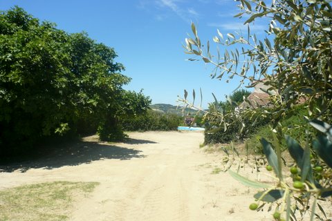 Le Clos du Ventoux Provence-Alpes-Côte d'Azur - Puyméras visuel 7/9