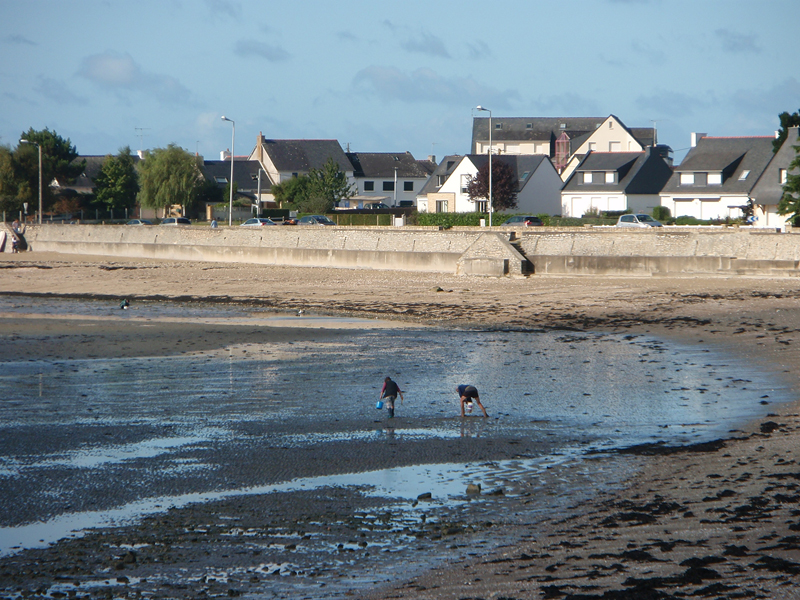 Le Cosquer Bretagne - Damgan visuel 4/5