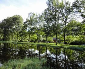 Résidence Le Domaine des Fontaines Bourgogne - Montsauche-les-Settons visuel 2/2