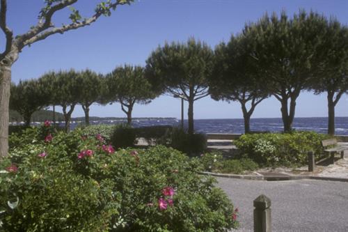 Résidence Le Grand Pavois Aquitaine - Carcans visuel 9/10