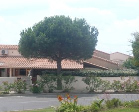 Le Hameau du Grazel Languedoc-Roussillon - Gruissan visuel 2/9