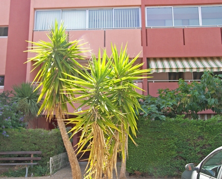 Résidence Le Levant Provence-Alpes-Côte d'Azur - Le Lavandou visuel 3/3