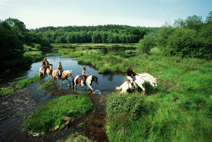 Le Logis de Séchemailles Limousin - Meymac visuel 7/7