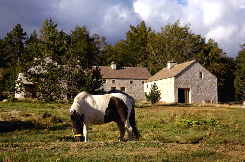 Le Mas de la Barque Languedoc-Roussillon - Villefort visuel 8/10